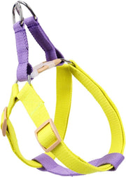 Dog Harness And Leash No Pull Nylon Pet Leashes